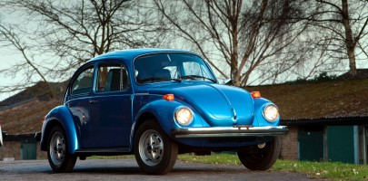 ACPA Beetle